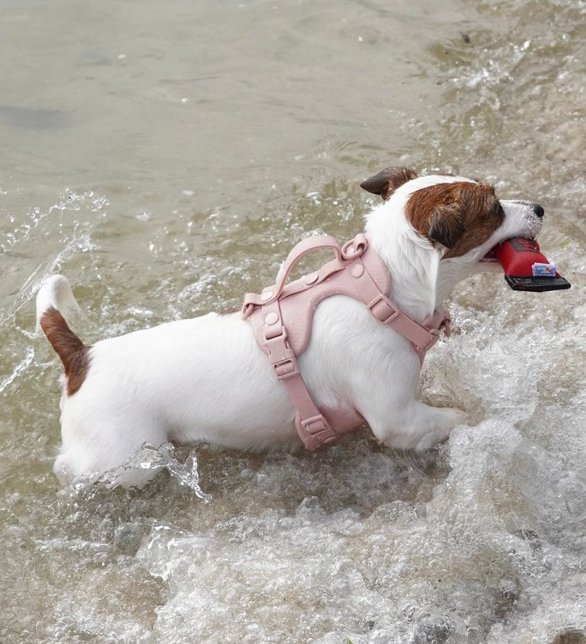 Aqua Harness - S - Blush