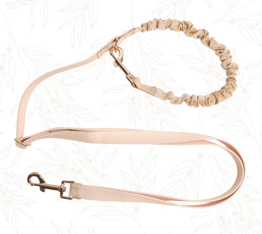 SleekStride Bungee leash