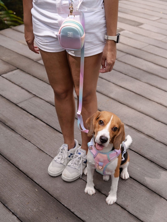 ActiveCool multiway leash