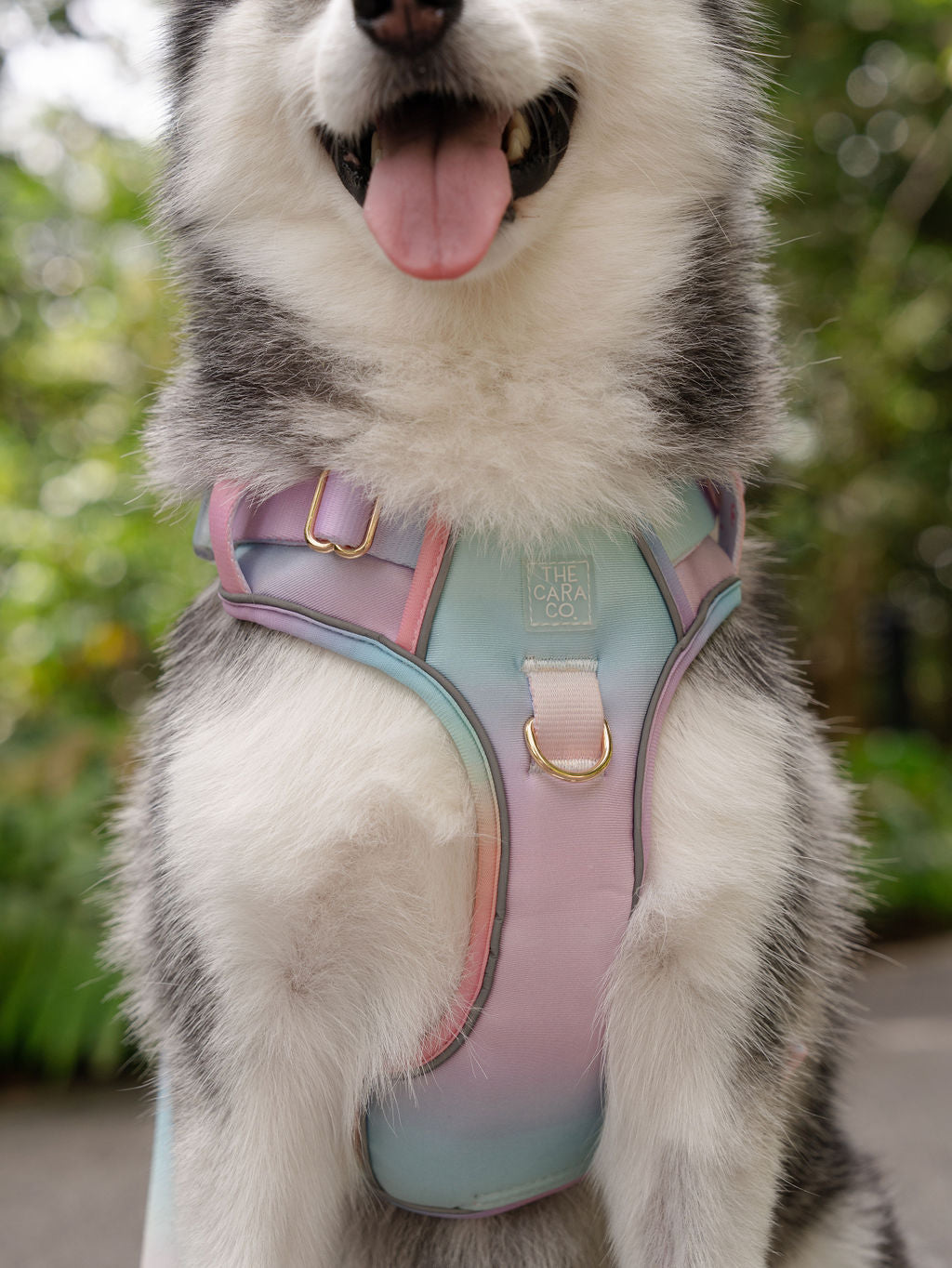 ActiveCool Harness