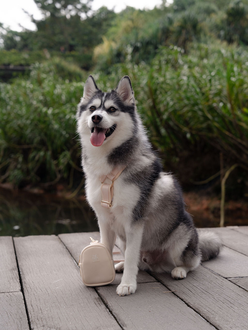 SleekStride Y-Harness