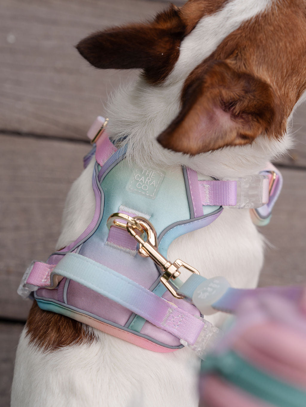 ActiveCool Harness