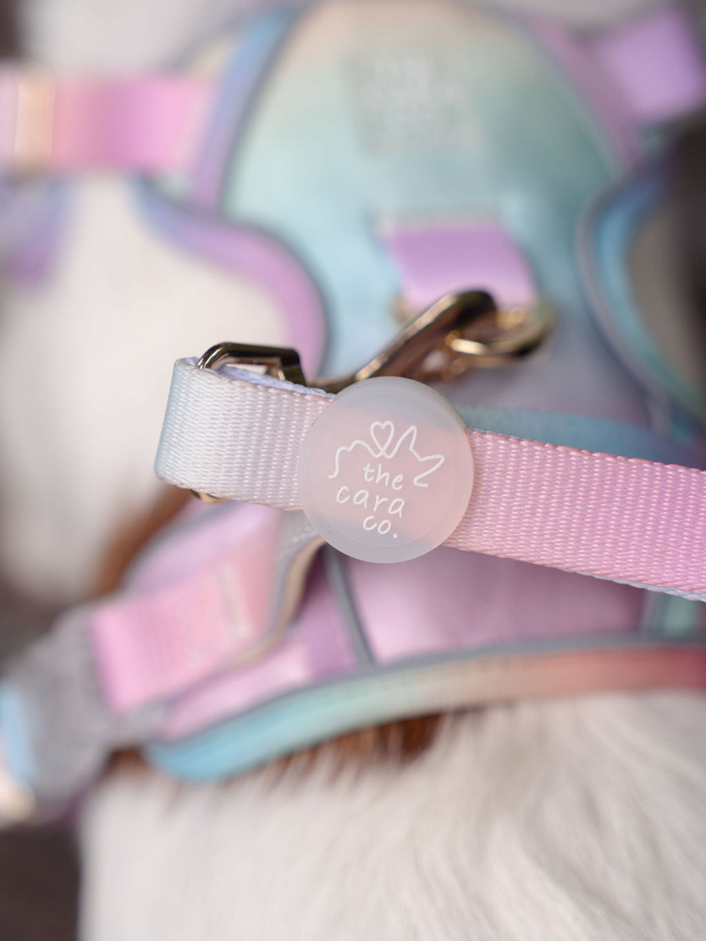 ActiveCool multiway leash