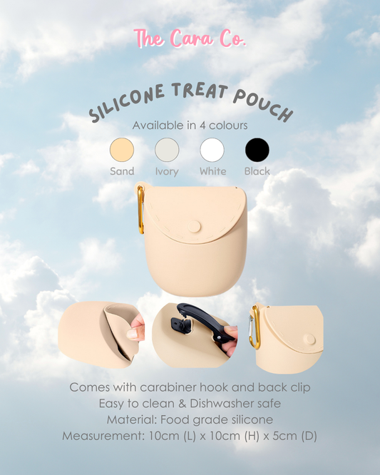 Silicone treat pouch