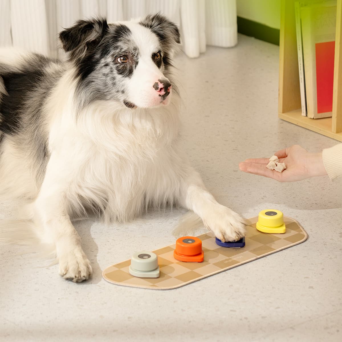 Mewoofun Interactive Toys