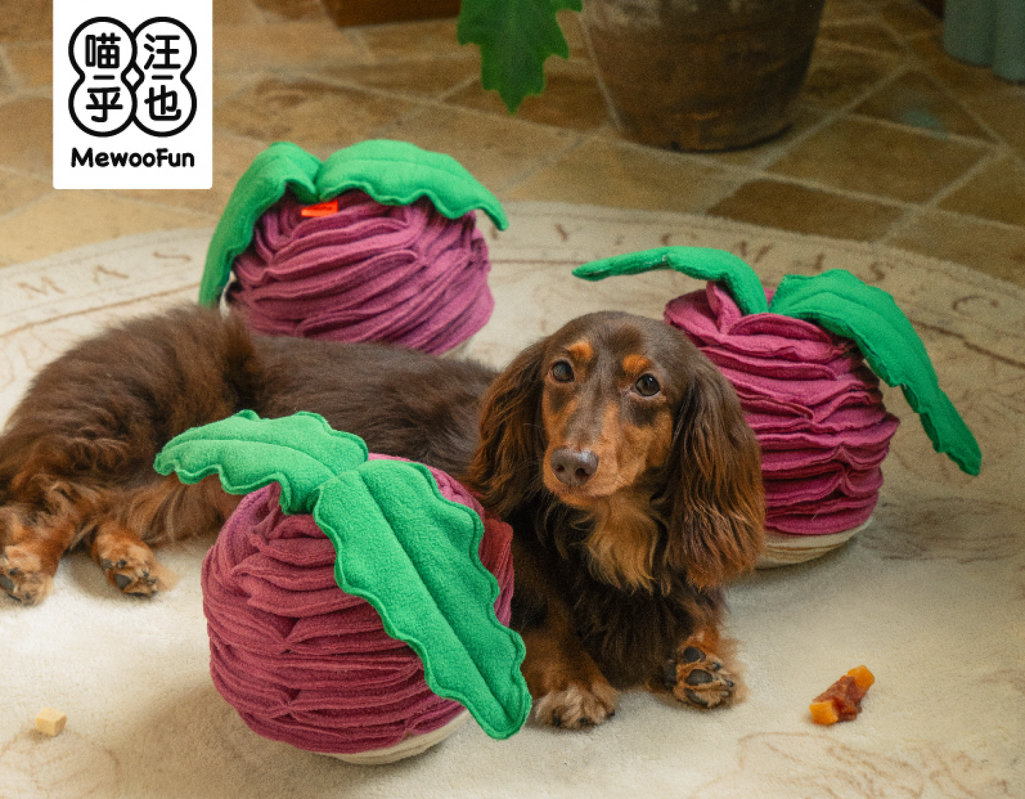 Interactive Snuffle Toys
