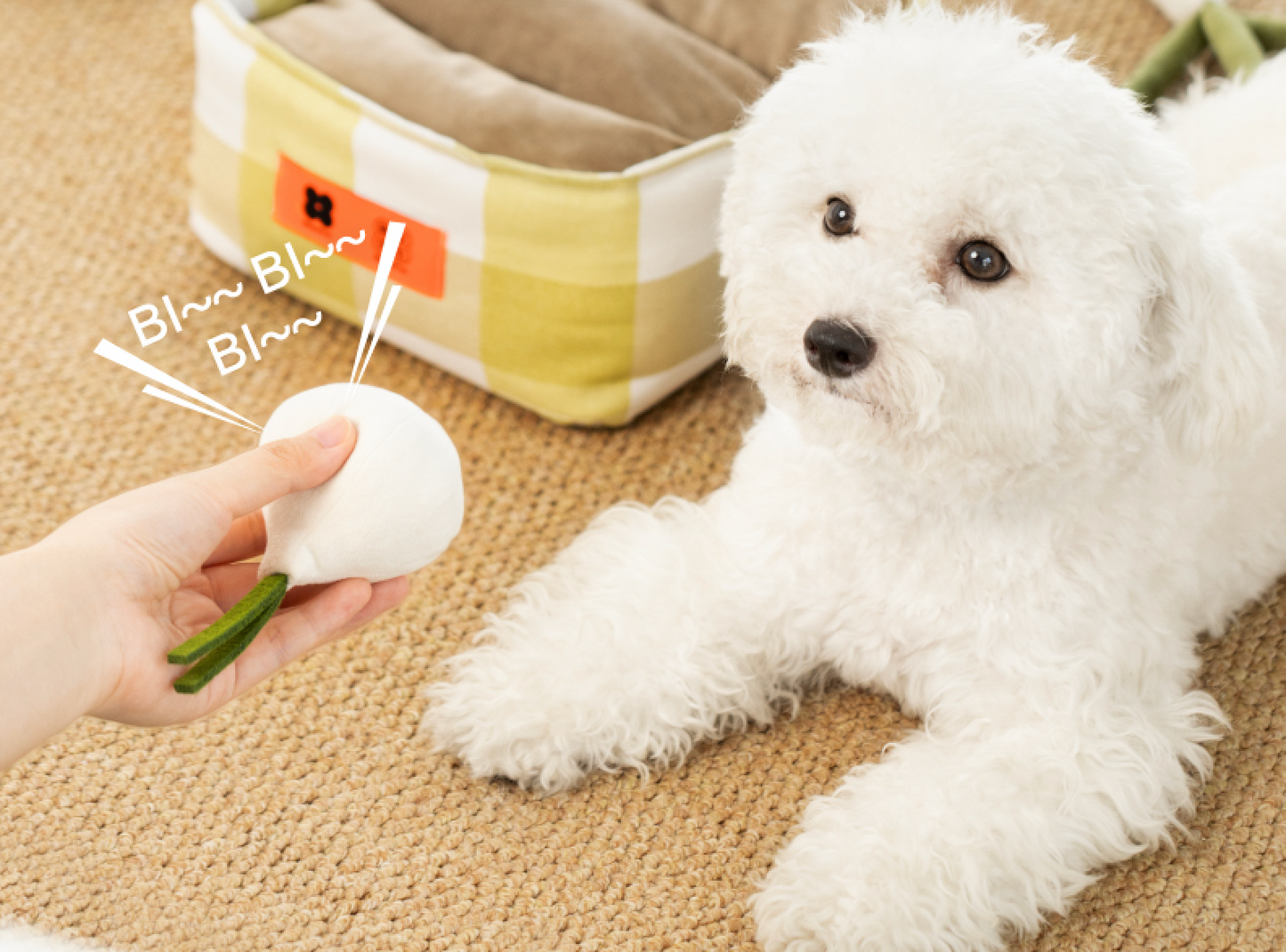 Interactive Snuffle Baskets