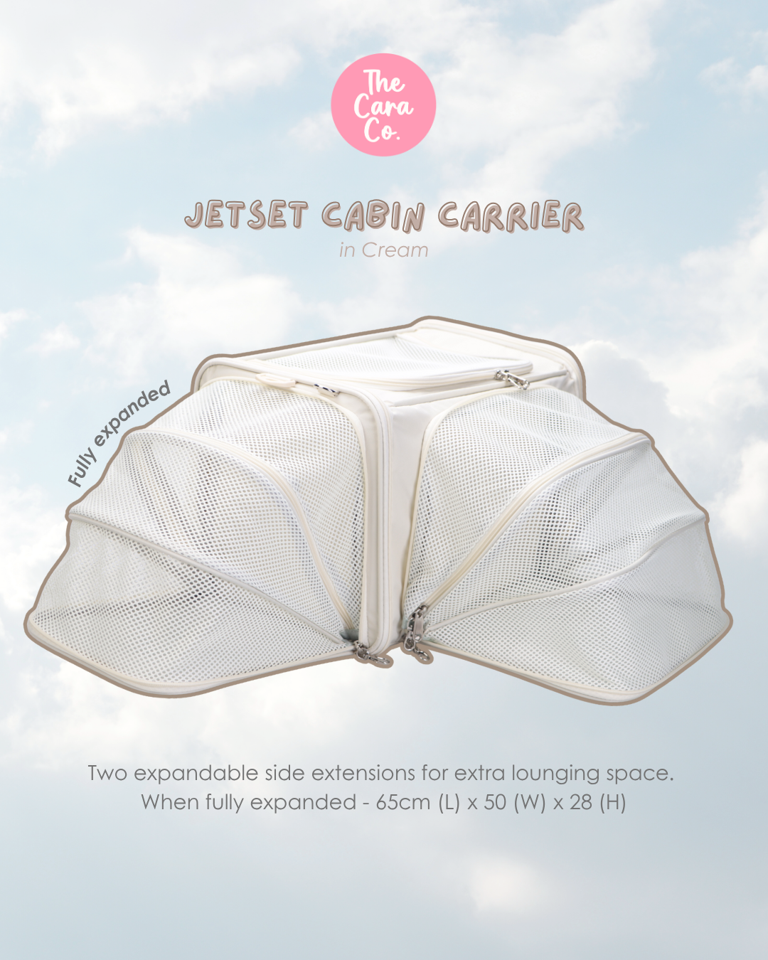 JetSet Cabin Carrier (Pre-order Only)