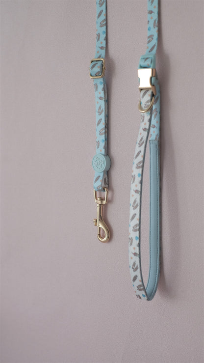 Everyday Multi-way Leash