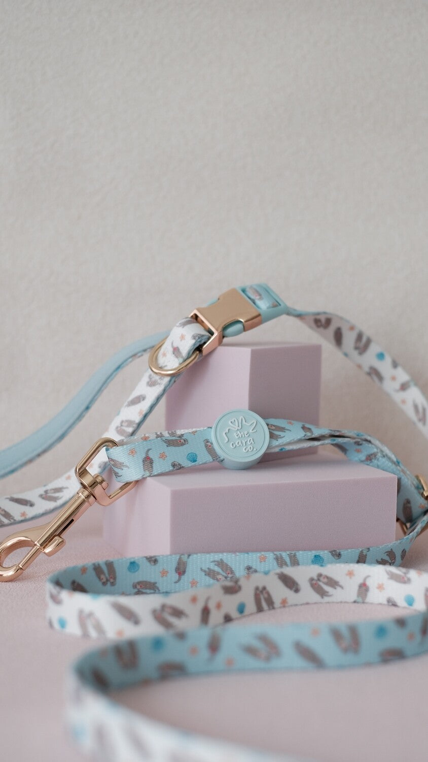Everyday Multi-way Leash