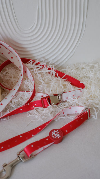 Will You Be Mine Leash