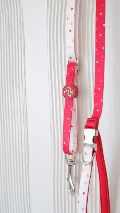 Everyday Multi-way Leash