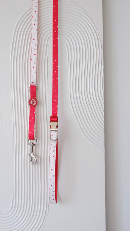 Everyday Multi-way Leash
