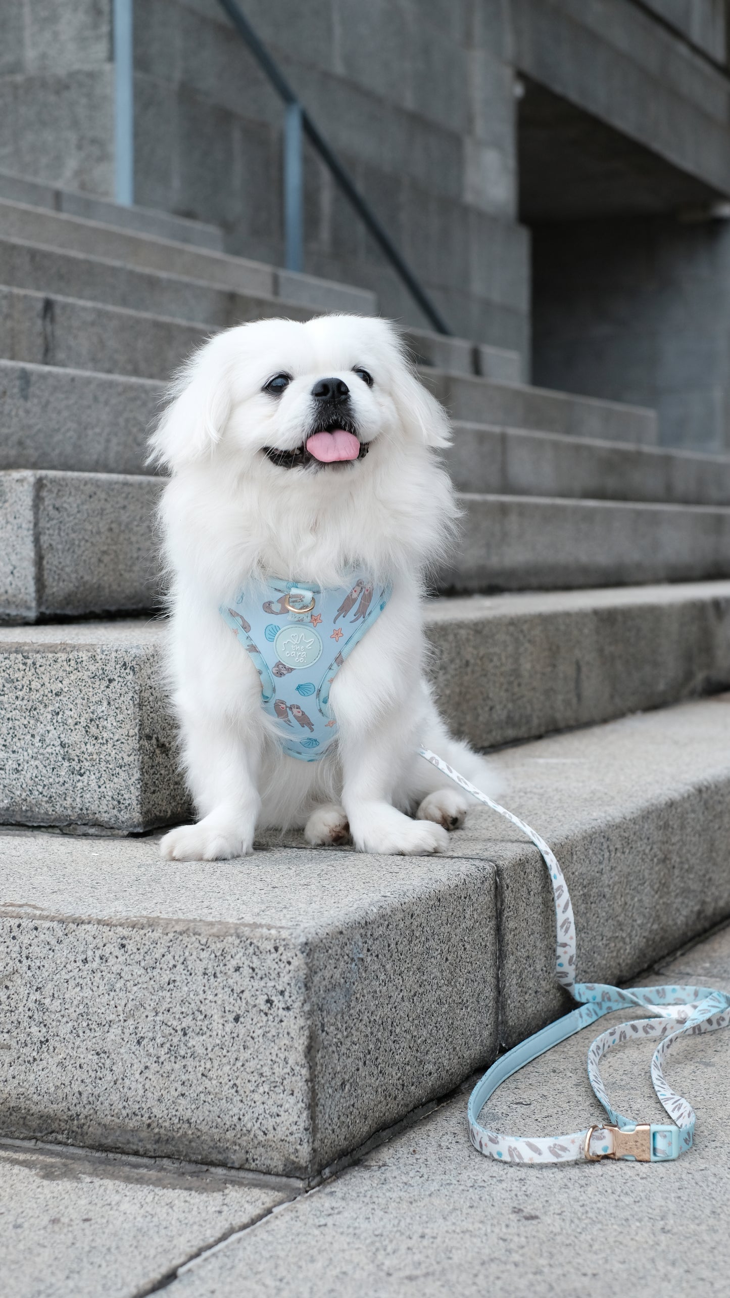 Otterly In Love Harness