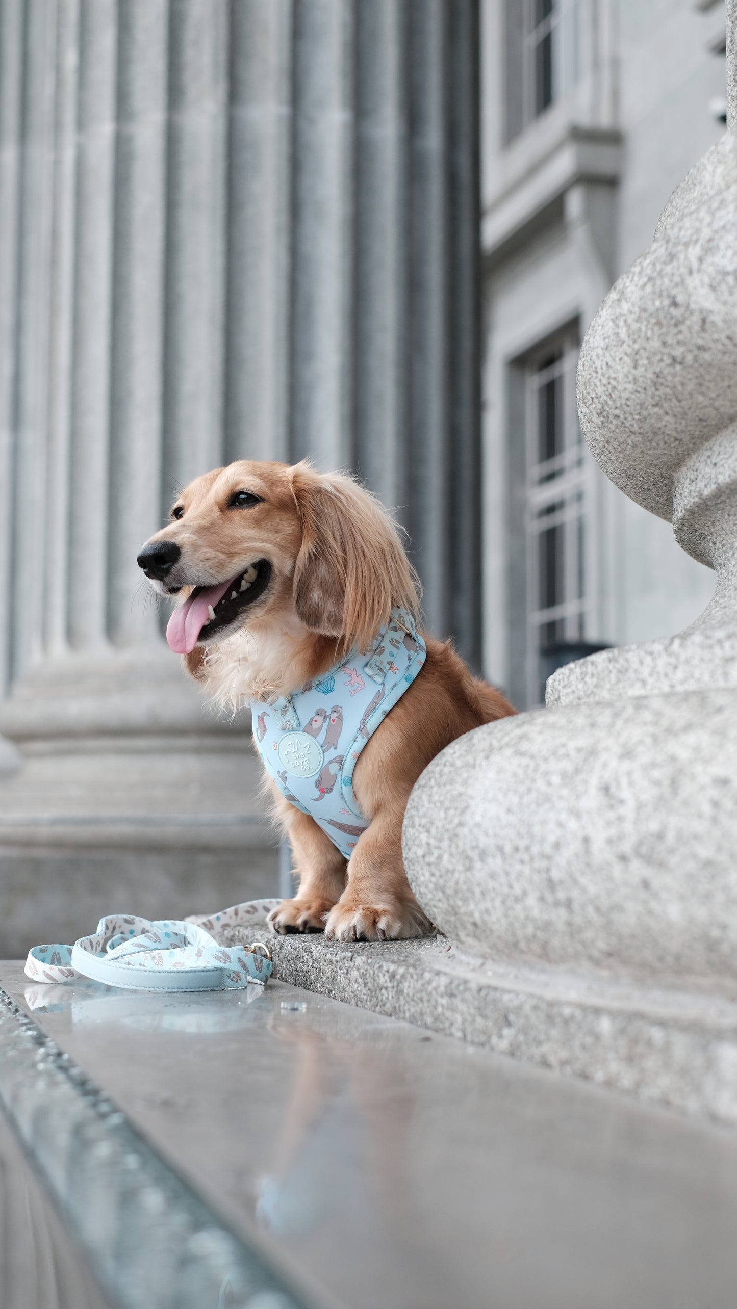 Otterly In Love Harness