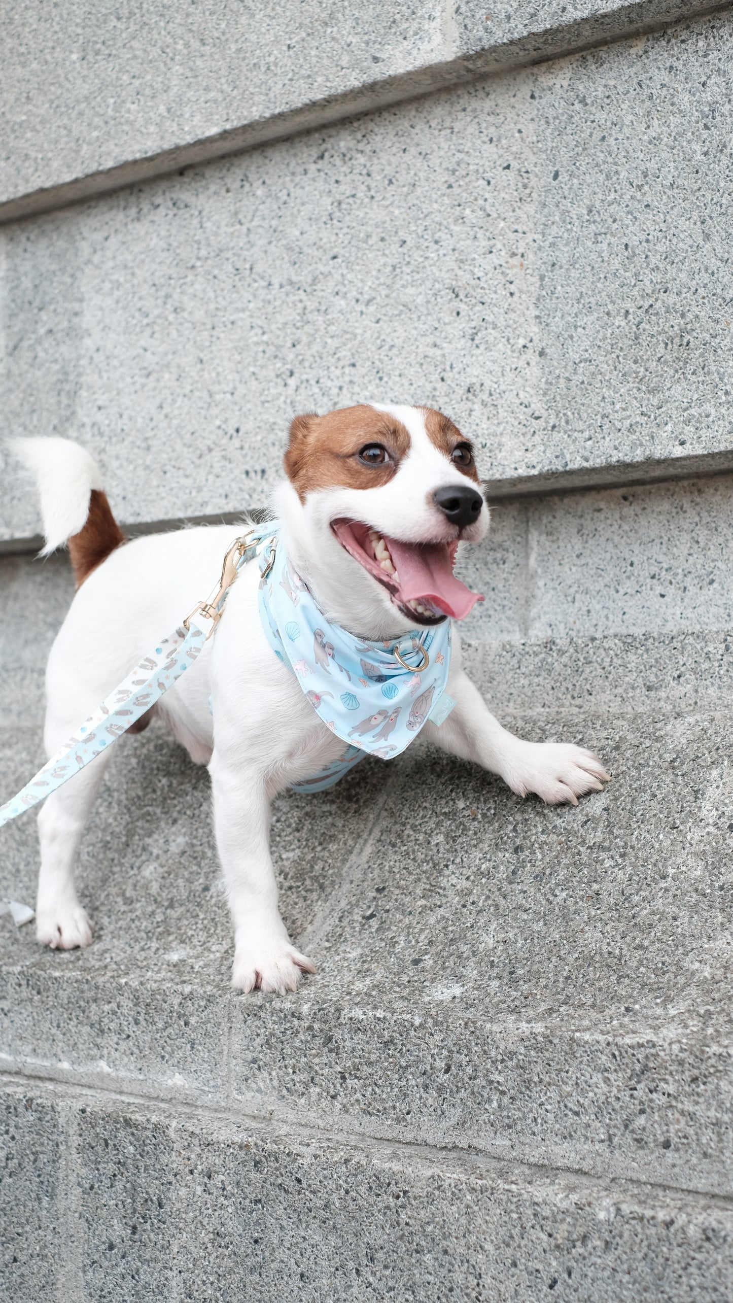 Otterly In Love Bandana