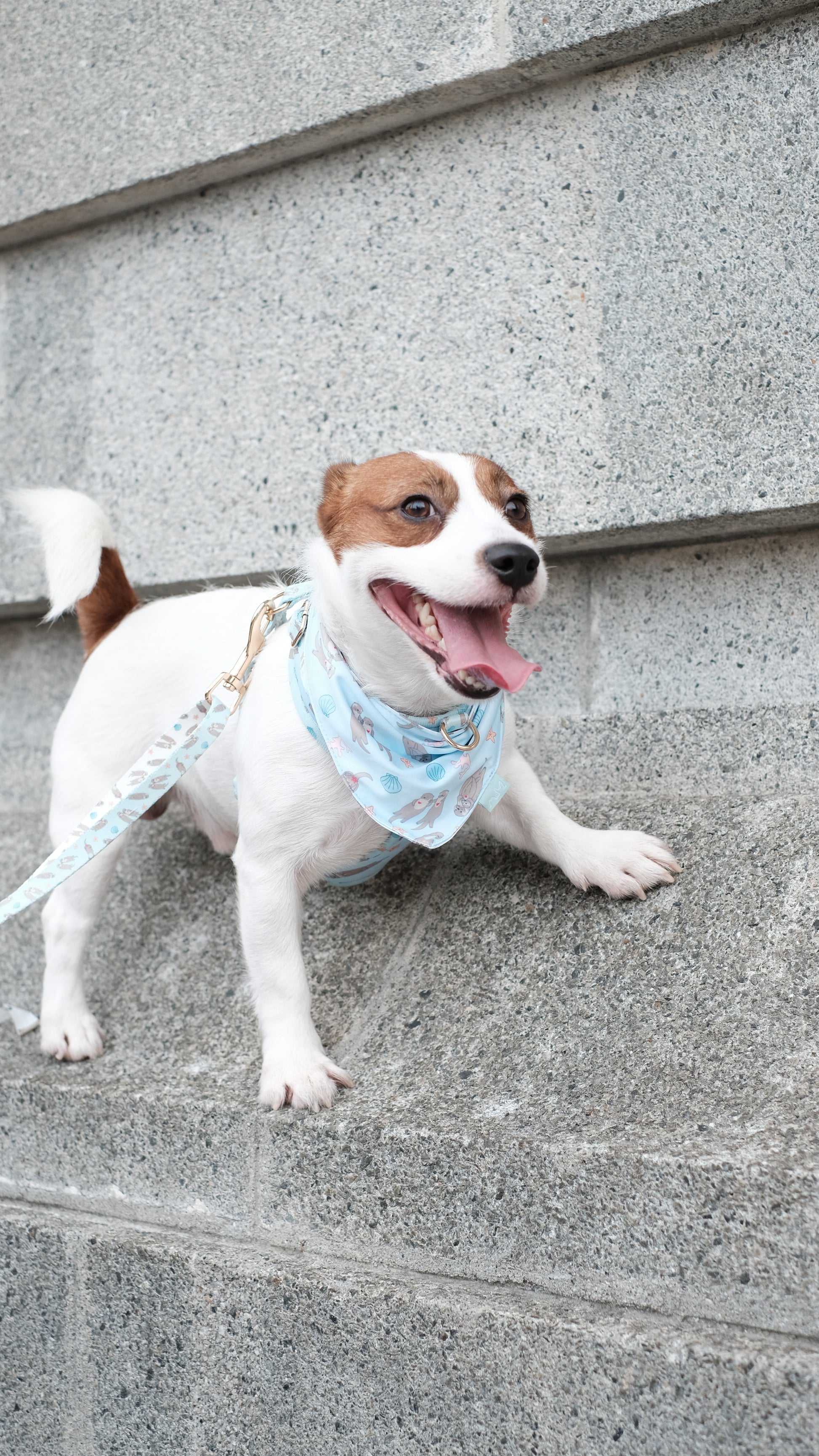 Otterly In Love Bandana