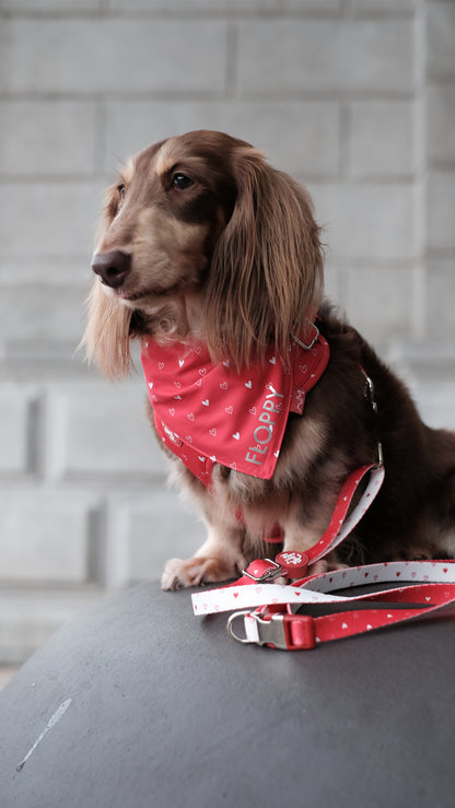 Will You Be Mine Bandana