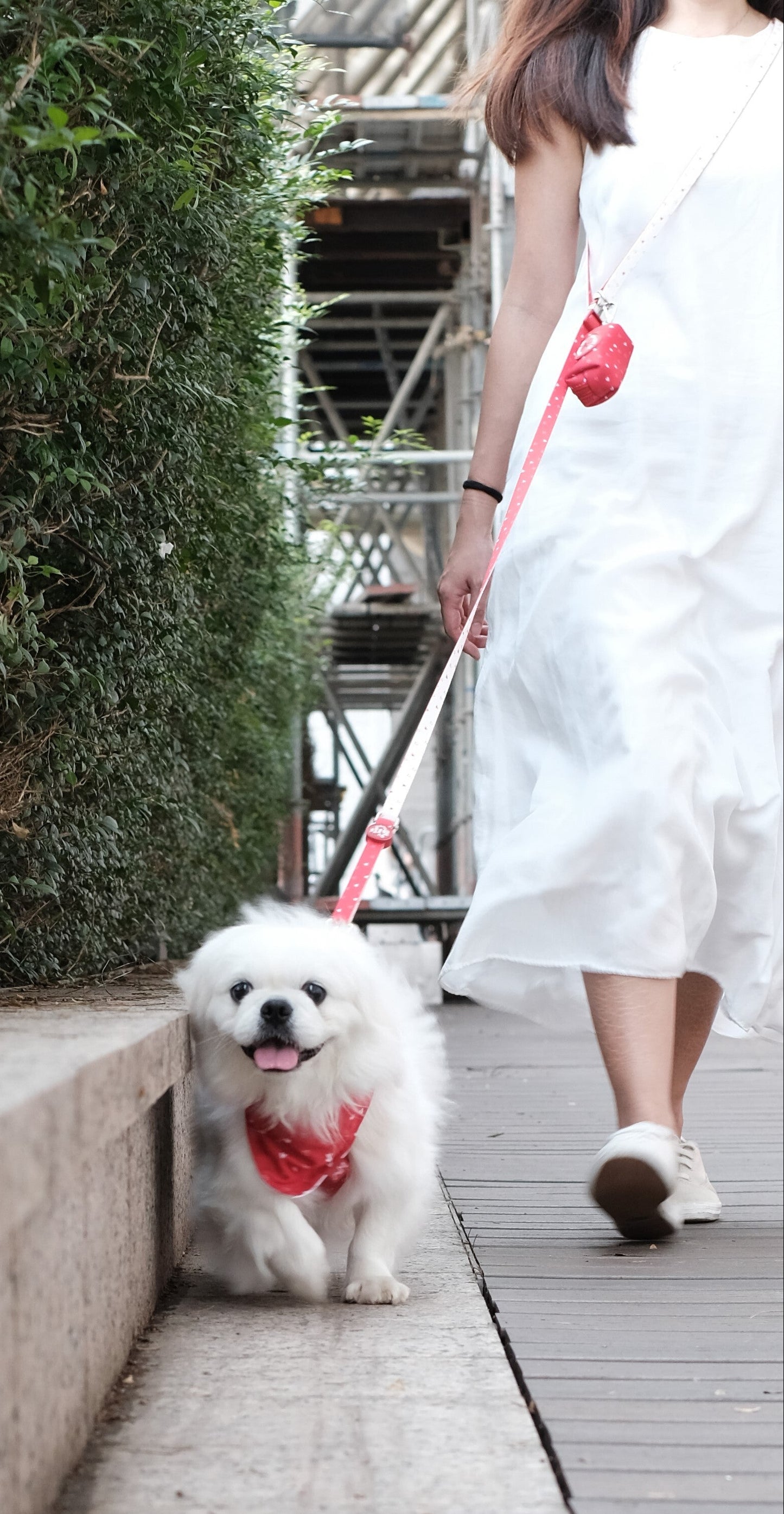 Everyday Multi-way Leash