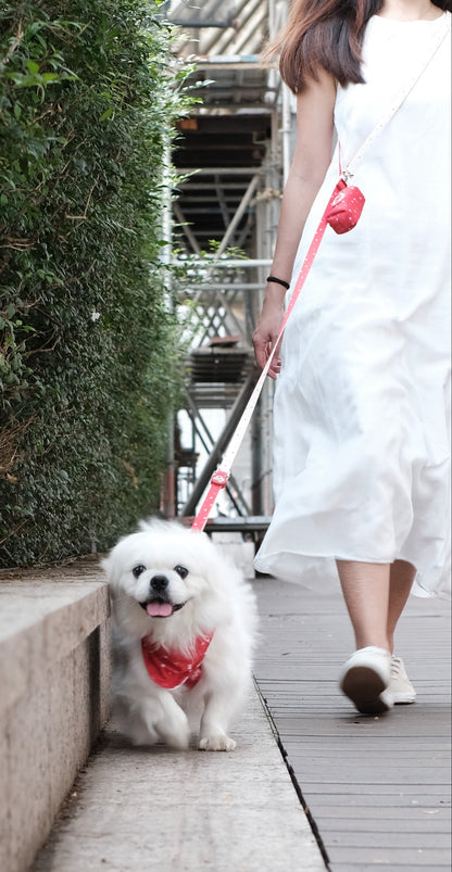 Everyday Multi-way Leash