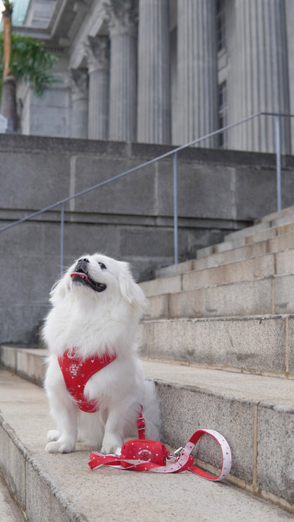 Will You Be Mine Walking Set