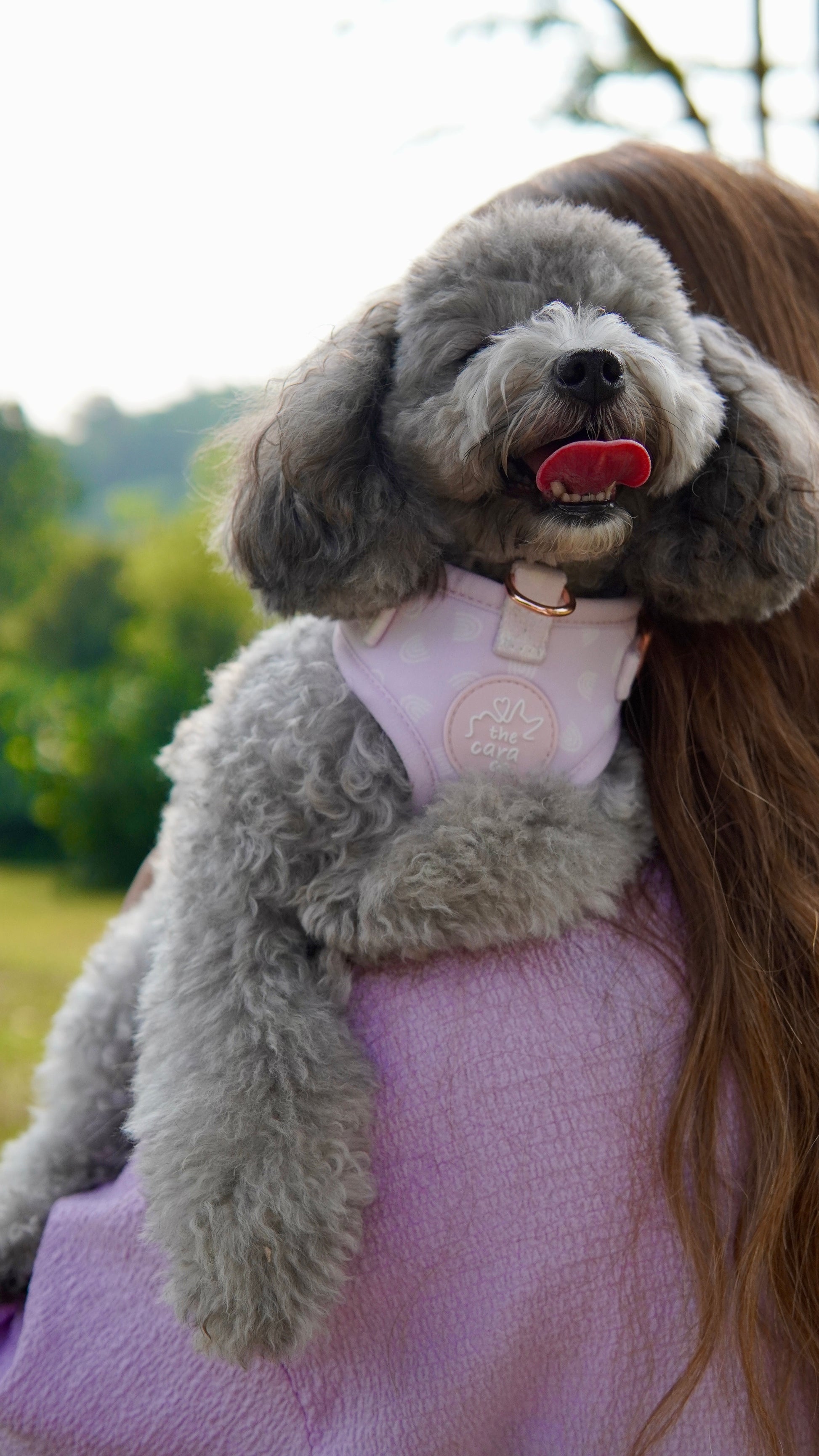 Lilac Dreams Harness