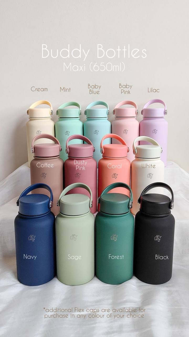 Buddy Bottle Maxi (650ml)