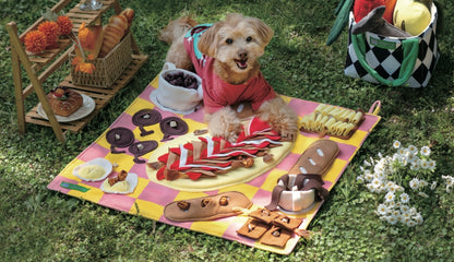 Interactive Snuffle Baskets