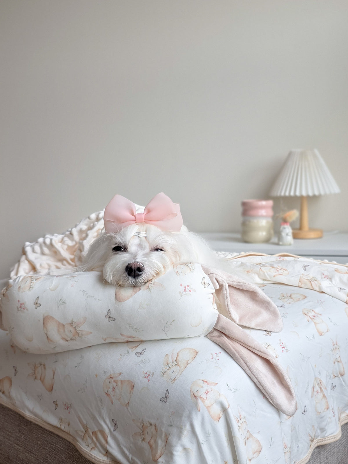 Cloud Cuddlies