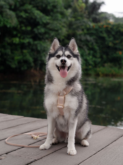 SleekStride Y-Harness