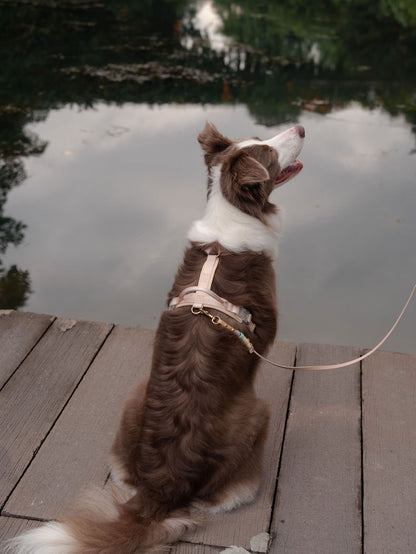 SleekStride Y-Harness