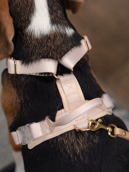 SleekStride Y-Harness