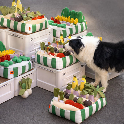 Interactive Snuffle Baskets