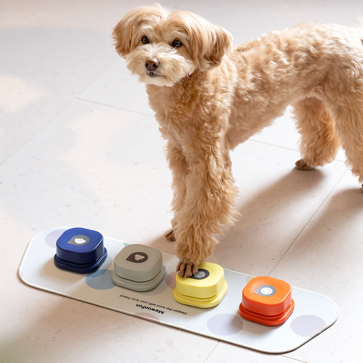 Mewoofun Interactive Toys