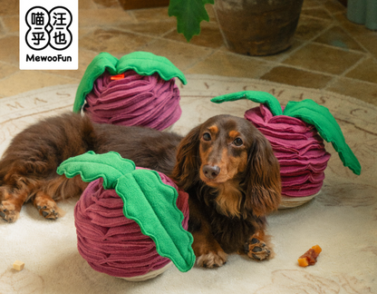 Interactive Snuffle Toys