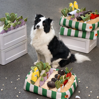 Interactive Snuffle Baskets