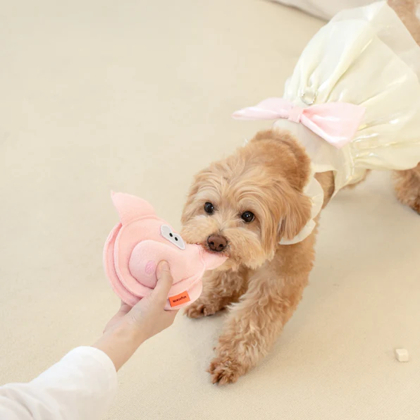 Interactive Snuffle Toys