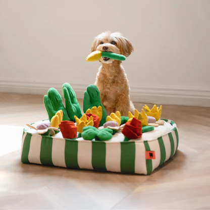 Interactive Snuffle Baskets