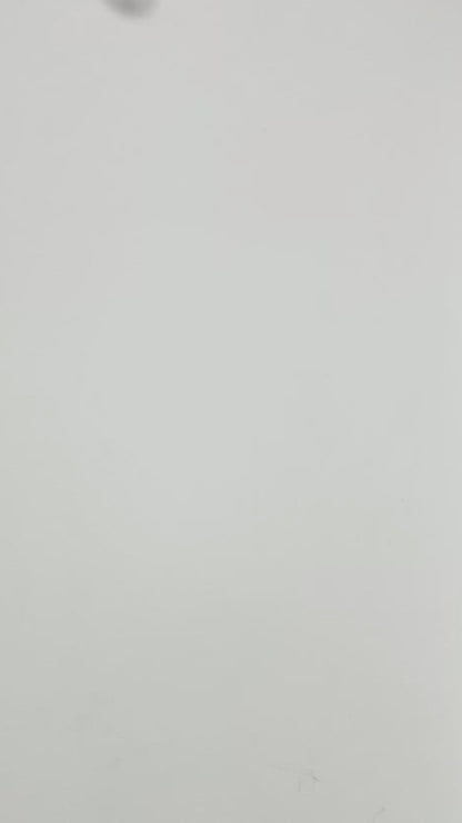 SleekStride Bungee leash